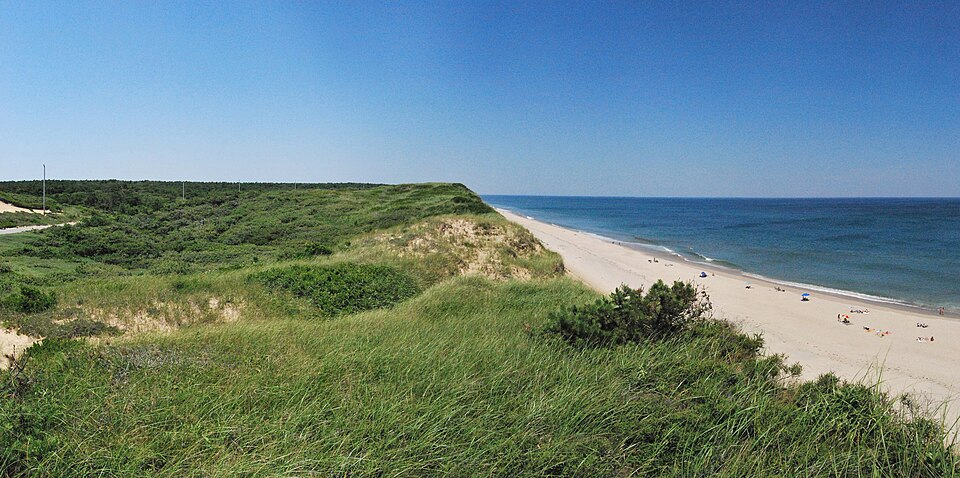 White Crest Beach Wellfleet